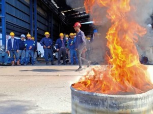 87466244_1465380250306257_426481606723633152_o