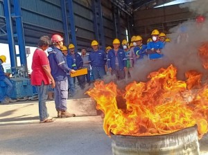 88039356_1465379970306285_1730884206973681664_o